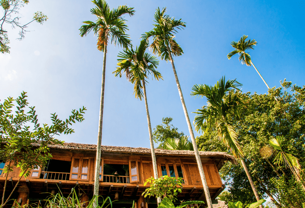 Traditional Thai stilt houses rise above the valley floor in Pu Luong, showcasing the distinctive architecture of local ethnic communities (Source: Canva)